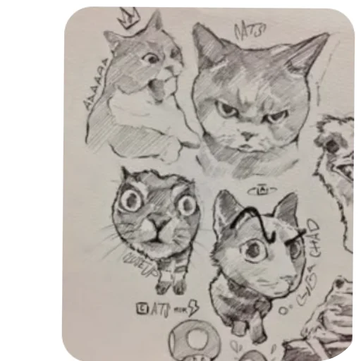 👓 Стикер «Коты кэта» для Telegram