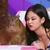 Стикер 7 k-pop