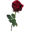 🌹 Эмодзи «Красавица и чудовище» для Telegram