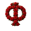 Стикер 22 Красные розы