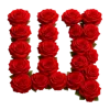 Стикер 27 Красные розы