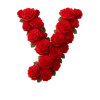 Стикер 21 Красные розы