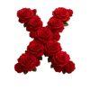 Стикер 23 Красные розы