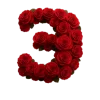 Стикер 31 Красные розы