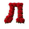 Стикер 13 Красные розы