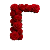 Стикер 4 Красные розы