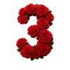Стикер 37 Красные розы
