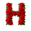 Стикер 14 Красные розы