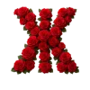 Стикер 8 Красные розы