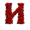 Стикер 10 Красные розы