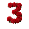 Стикер 9 Красные розы