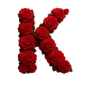 Стикер 55 Красные розы