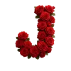 Стикер 54 Красные розы