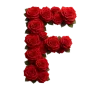Стикер 50 Красные розы