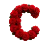 Стикер 19 Красные розы