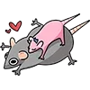 Стикер 18 🐀🤪😠😐❤️🤨😣🧀😍