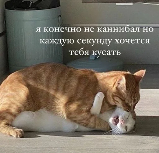 😋 Стикер «Пельмени и круассаны» для Telegram