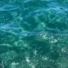 🤩 Эмодзи «By» для Telegram