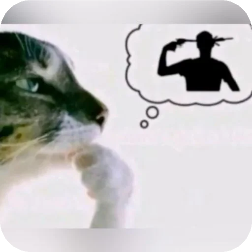 🐶 Стикер «Крутой набор» для Telegram