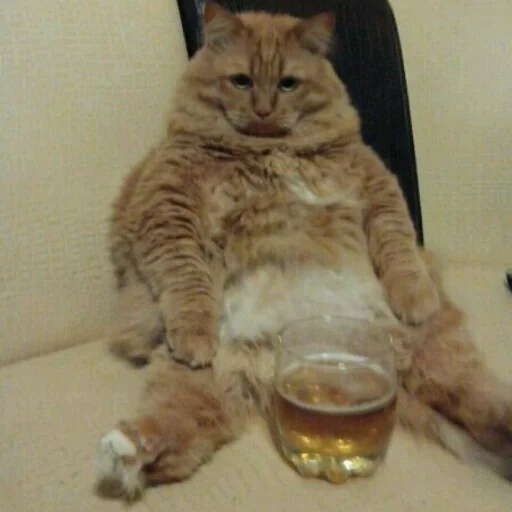 🍺 Стикер «КотикЦмок» для Telegram