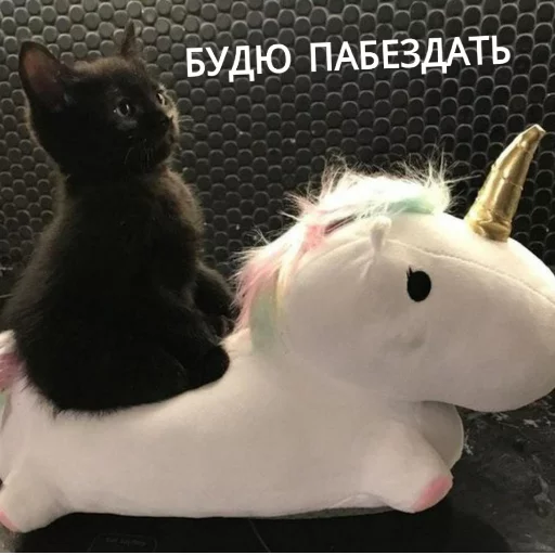 🤠 Стикер «КотикЦмок» для Telegram