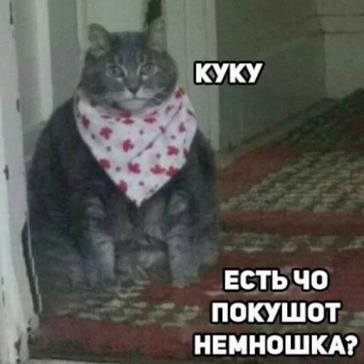 🍎 Стикер «КотикЦмок» для Telegram