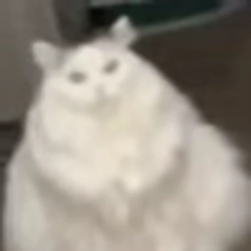🐳 Эмодзи «I CATS!» для Telegram