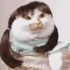 👧 Эмодзи «I CATS!» для Telegram