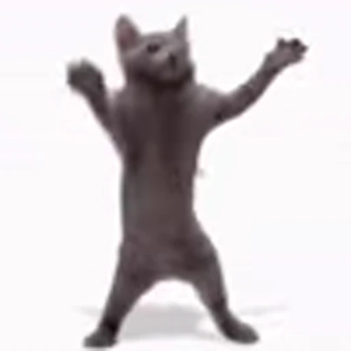 😸 Эмодзи «I CATS!» для Telegram