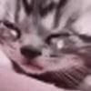 😢 Эмодзи «I CATS!» для Telegram