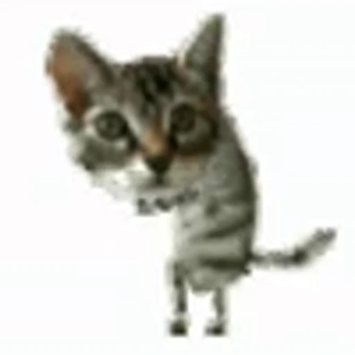 😺 Эмодзи «I CATS!» для Telegram