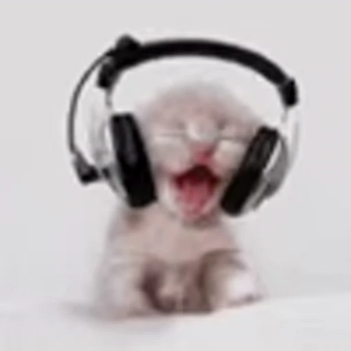 😺 Эмодзи «I CATS!» для Telegram