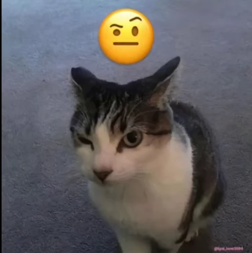 🤨 Стикер «L4Lm 6» для Telegram