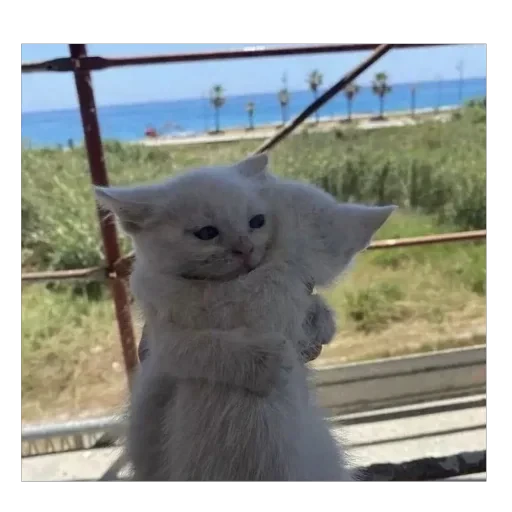 💋 Стикер «L4Lm 6» для Telegram