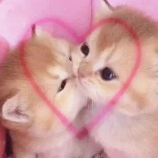 💓 Стикер «L4Lm 6» для Telegram
