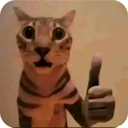 🐱 Стикер «L4Lm 6» для Telegram
