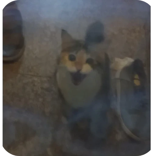🌌 Стикер «L4Lm 6» для Telegram