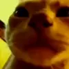 Стикер 34 Mix #girl #animals #cat #cute