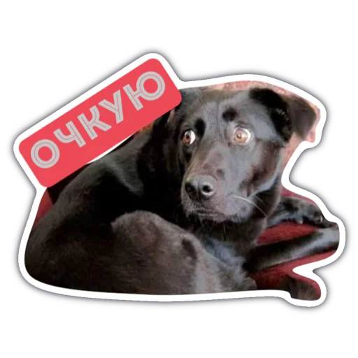 Стикер 4 Livuiton зе бест