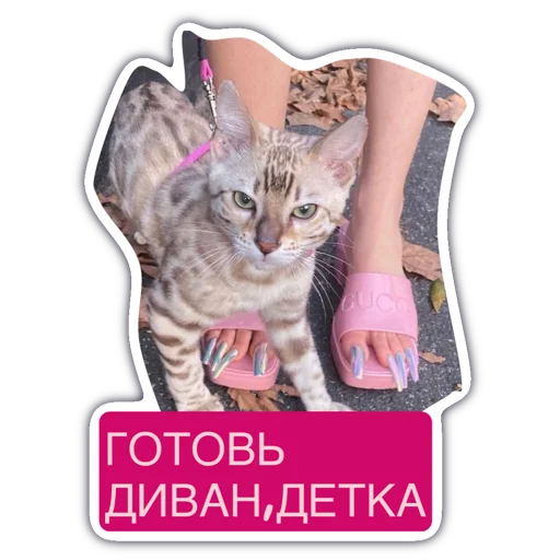 Стикер 10 Livuiton зе бест