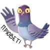 🕊 Эмодзи «Голубь Миша» для Telegram