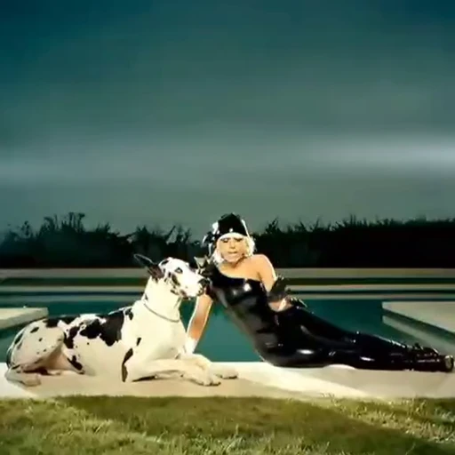 🌟 Стикер «Lady gaga» для Telegram