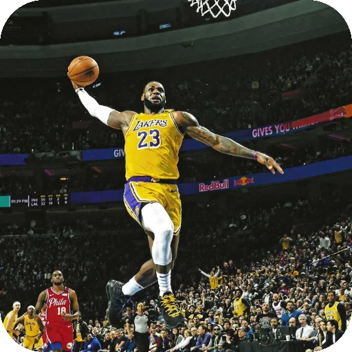🤾 Стикер «LeBron James» для Telegram