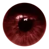 Стикер 2 𝐁𝗅𝗈𝗈𝖽 𝐂𝗋𝖾𝗌𝗍