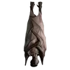 Стикер 36 𝐁𝗅𝗈𝗈𝖽 𝐂𝗋𝖾𝗌𝗍