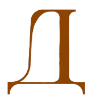 Стикер 5 Leopard core