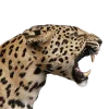 Стикер 59 Leopard core