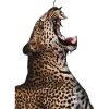 Стикер 57 Leopard core