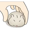 Стикер 32 🐹 Видеоанимированный набор эмоджи с хомячком
