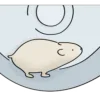 Стикер 41 🐹 Видеоанимированный набор эмоджи с хомячком